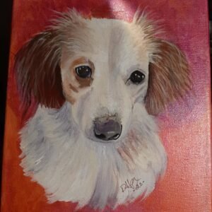 Dog with bright background
