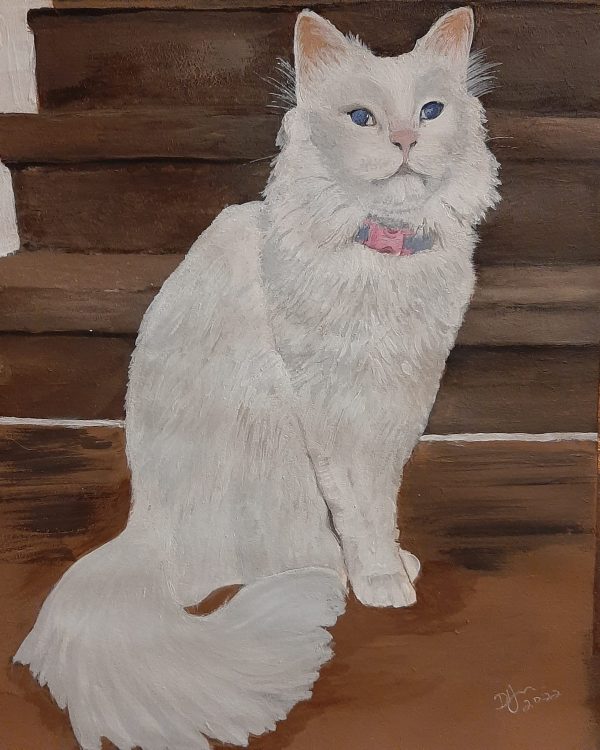 279914204_2660617377402397_6392941707930359275_n